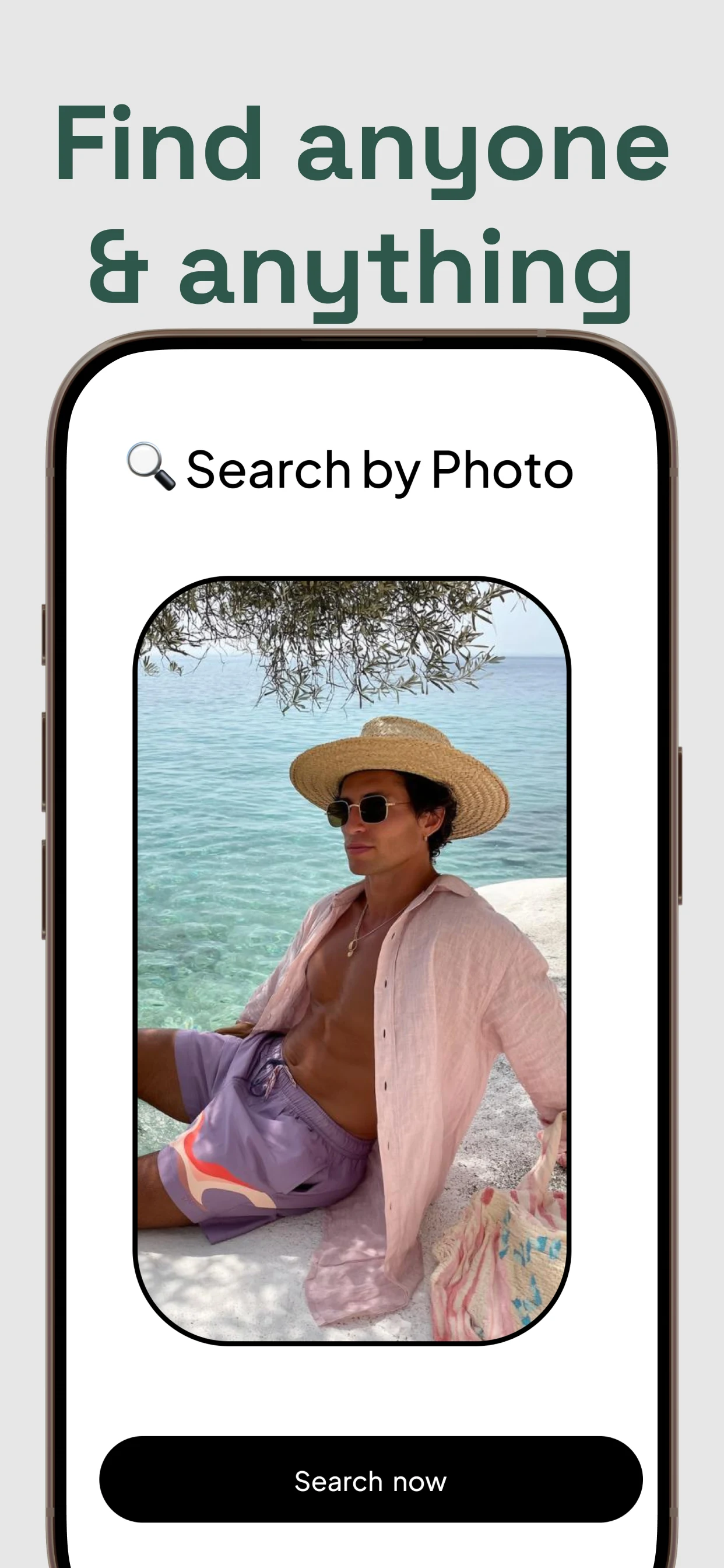Deepcheck AI Search Assistant screenshot